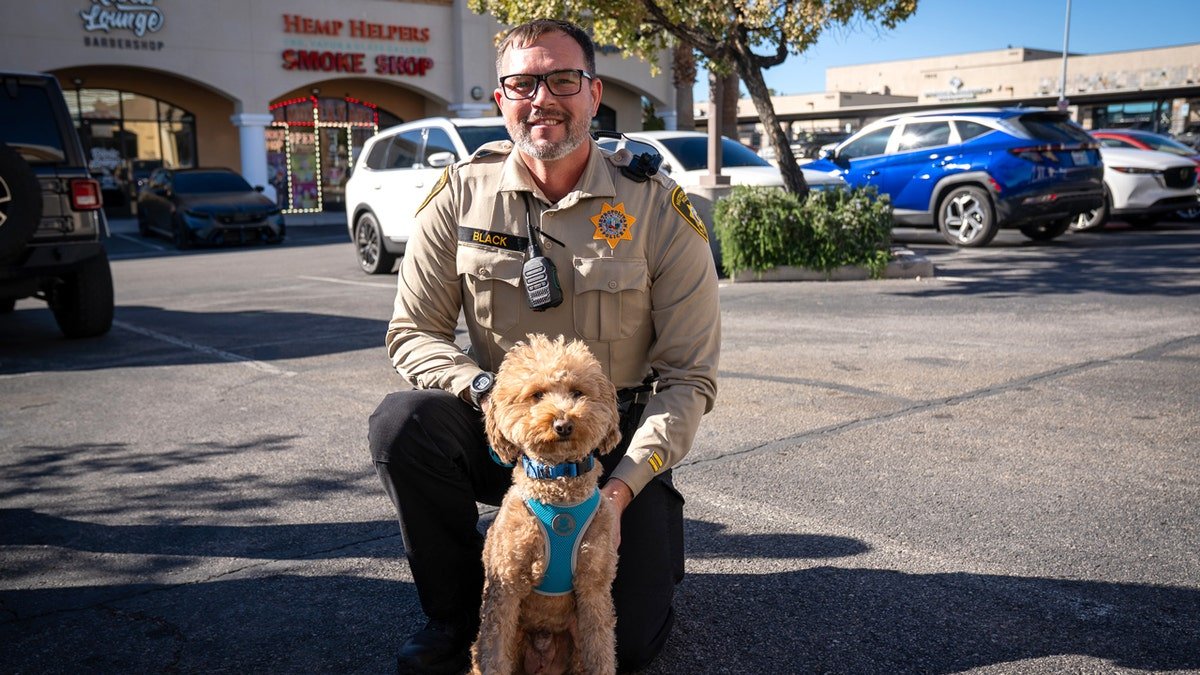 A puppy that was abandoned with a LVMPD officer in a parking lot