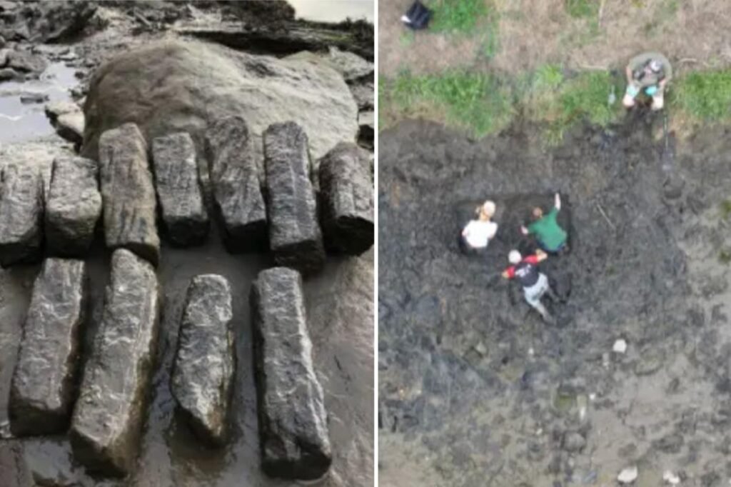 Archaeologists discover massive Roman industrial site with hundreds of tools giving insight into how they lived, worked