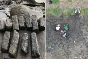 Archaeologists discover massive Roman industrial site with hundreds of tools giving insight into how they lived, worked