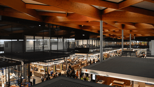 Homepage gif
Sydney Fish Market