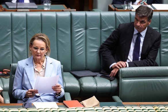 Angus Taylor sits behind Ley during question time last week.