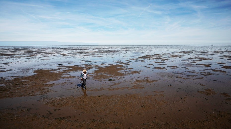 guided walk on the broomway in the uk