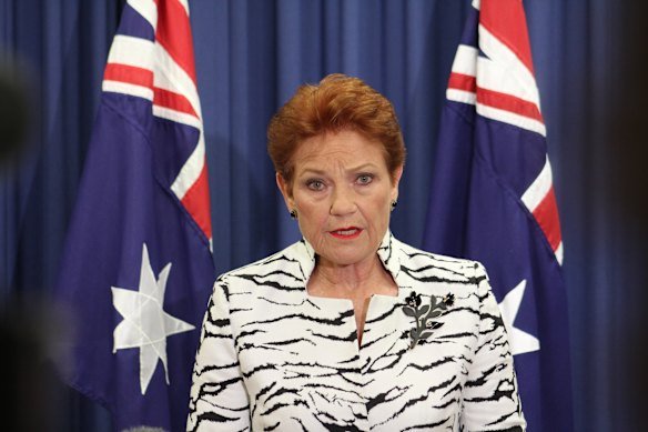 Pauline Hanson fronted media in Brisbane on Friday after Angus Taylor deposed Sussan Ley as leader of the federal opposition.