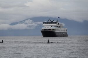 One of the most picturesque cruise lines has abruptly shut down after 15 years of service