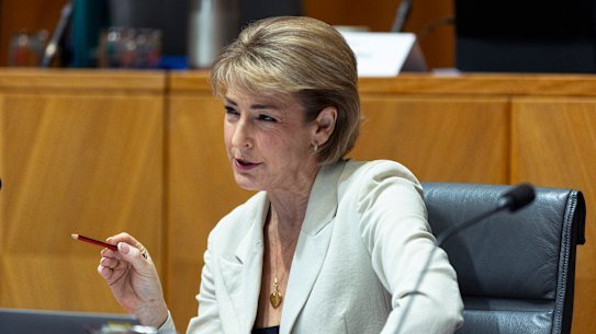 Liberal MP Michaelia Cash has claimed the travel allowance more frequently than any other senior politician.