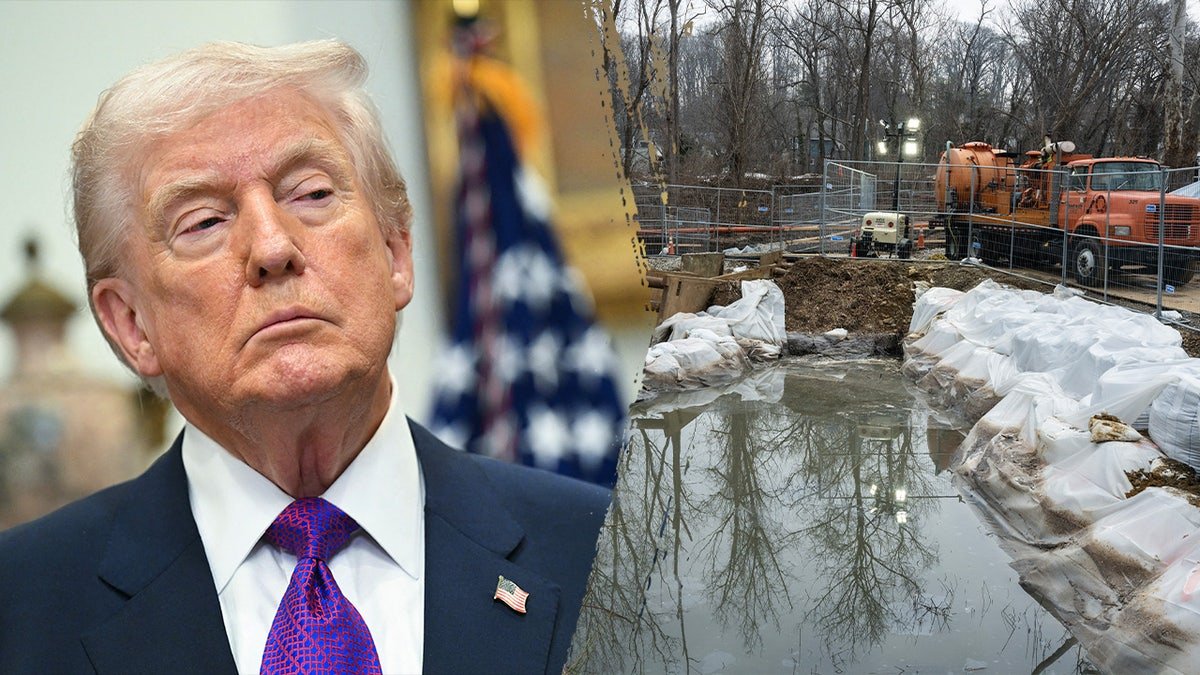 Trump and sewage crisis side-by-side photo