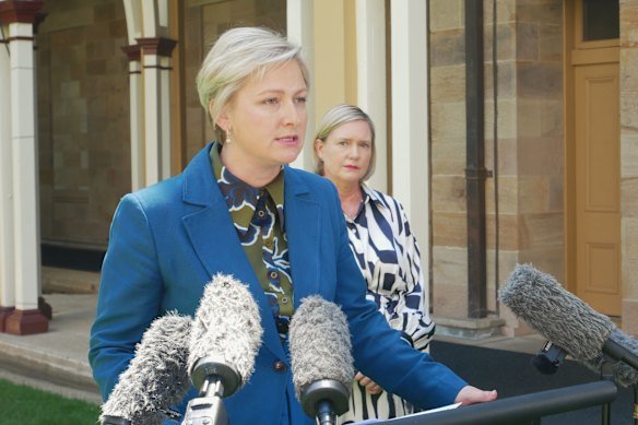Minister Amanda Camm spoke at Parliament House on Saturday as the Deloitte report was made public. 