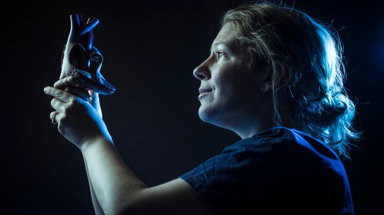 Melbourne cardiologist Dr Elizabeth Paratz is concerned that younger Victorians who use illicit drugs are over-represented in sudden cardiac deaths.