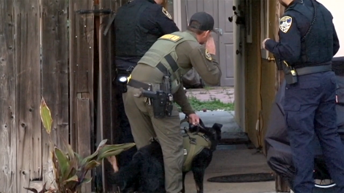 Police search for suspects following a smash-and-grab robbery at a Petaluma jewelry store