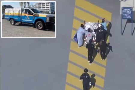 Infant viciously mauled by family bulldog during diaper change in Florida home Infant viciously mauled by family bulldog during diaper change in Florida home