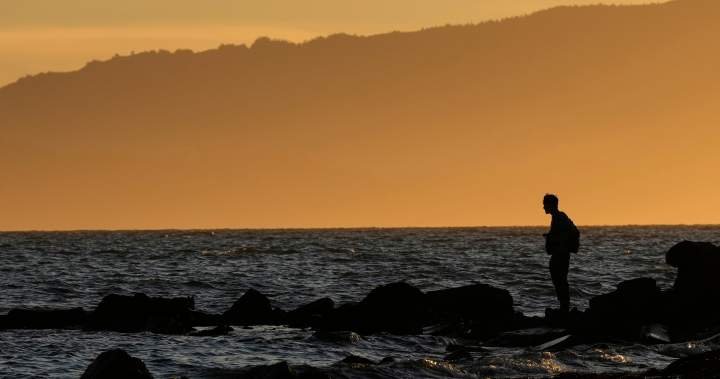 Do ‘forever chemicals’ age men faster? Experts urge caution on new study Do ‘forever chemicals’ age men faster? Experts urge caution on new study