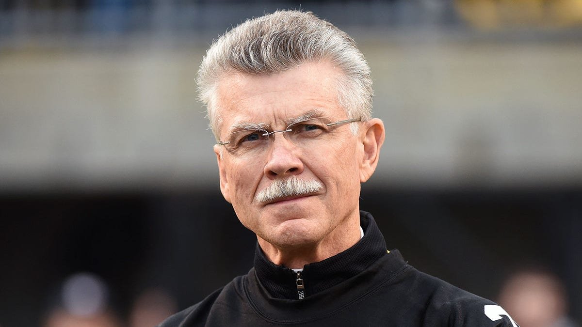 Mike Wagner looks on field