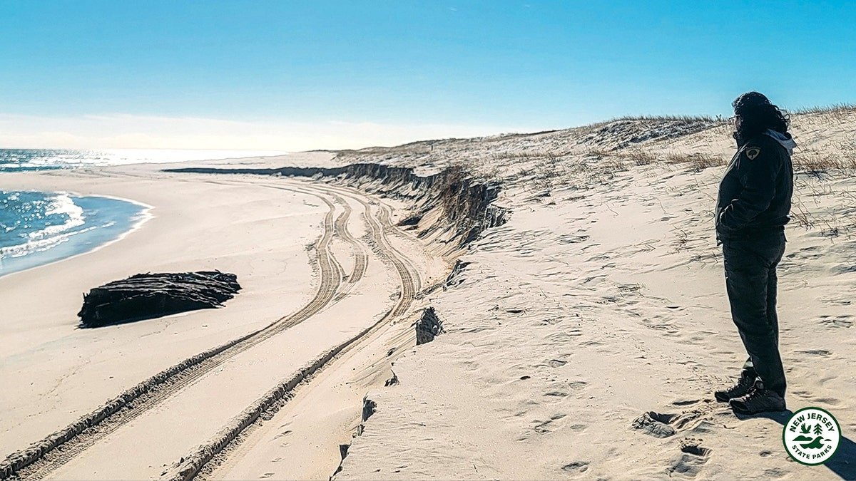 Official standing near remains of shipwreck