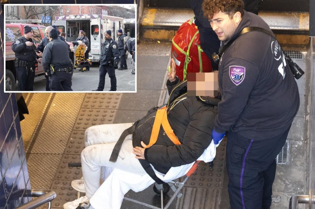 Maniac who allegedly pushed woman onto NYC subway tracks, punched straphanger, also slugged teen girl during rampage Maniac who allegedly pushed woman onto NYC subway tracks, punched straphanger, also slugged teen girl during rampage