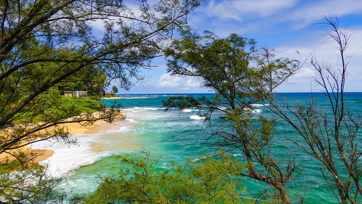 Emerald Princess passengers saw a man overboard