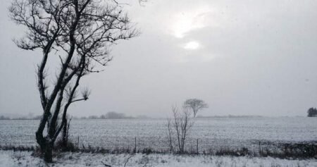 Ontario city turns to landfill property for snow storage amid record winter