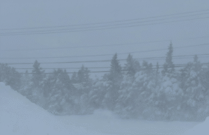 Newfoundland slammed by snow as Maritimes set to face winter storm Newfoundland slammed by snow as Maritimes set to face winter storm