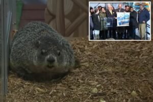 Staten Island Chuck’s Groundhog Day 2026 prediction