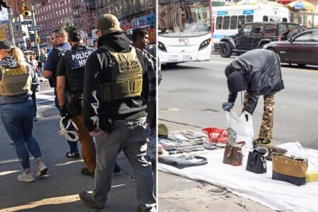 Judges free 3 West African migrants, slam ICE over ‘unlawful’ NYC raids