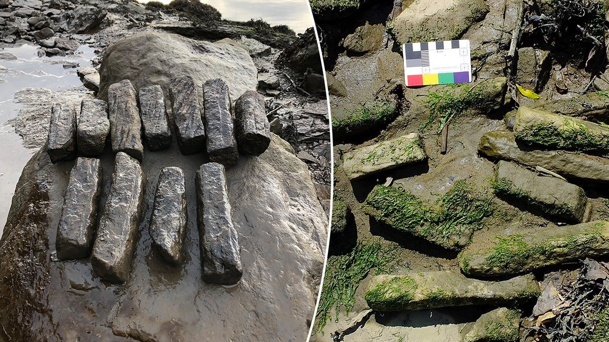 Split image of whetstones near water, under moss