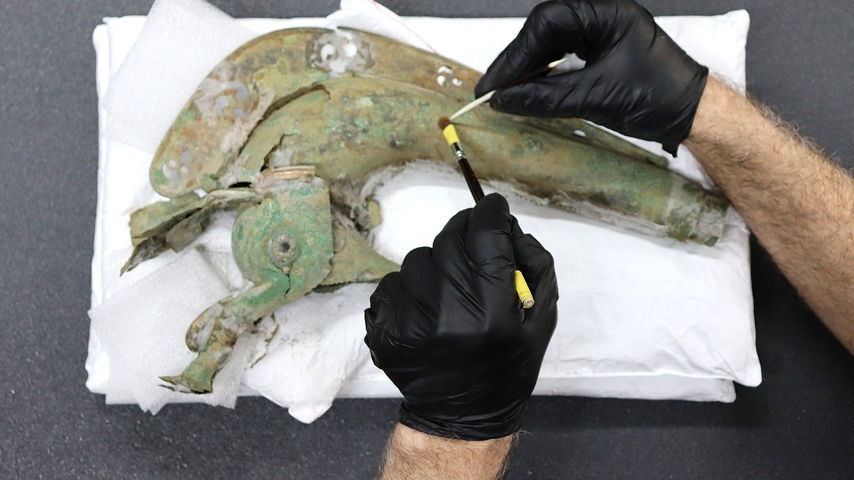 Curator analyzing iron age trumpet