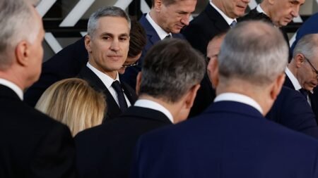 ‘Decision of one oligarch’ – Bulgarian PM walks back Board of Peace ‘Decision of one oligarch’ – Bulgarian PM walks back Board of Peace