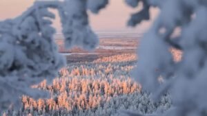 AirBaltic to launch flights to Lapland from five European cities AirBaltic to launch flights to Lapland from five European cities