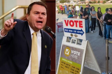 California voter ID petition set to be officially submitted after netting 1.3M signatures: ‘Common sense’