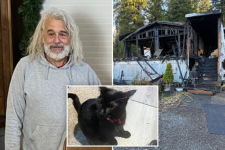 Loyal kitty sacrifices own life to save sleeping owner from house fire in Oregon