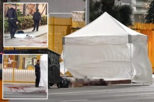 Disturbed man dies after allegedly cutting off his penis in bloody DTLA scene