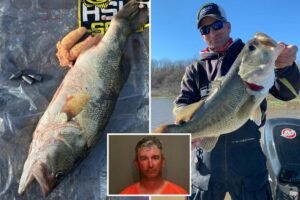 Too fishy: Angler busted allegedly adding weights to fish to win K prize