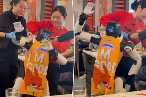 Dancing robot seen dragged away by panicked restaurant staff after going haywire in bizarre video: ‘Actually scary’