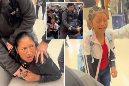 ICE arrest of illegal migrant fugitive at San Francisco airport sparks fear-mongering — here’s what really happened