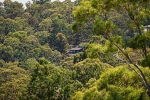 What is there to do in Eltham North?