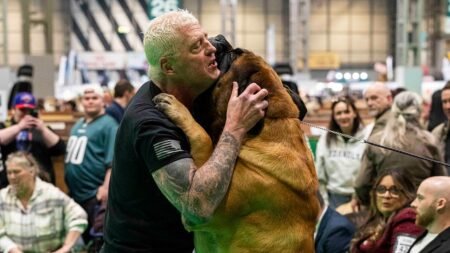 AEW star Dustin Rhodes’ mastiff takes home prize at world’s largest dog show