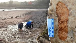 Dog walkers trigger archaeological race to preserve 2,000-year-old footprints in shifting sands Dog walkers trigger archaeological race to preserve 2,000-year-old footprints in shifting sands