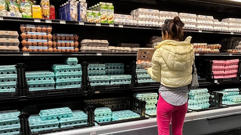 Walmart eggs cooler with customer in front
