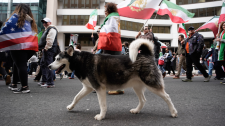 With dogs, dance and uncovered hair, Iranians defy ‘unholy alliance’ of socialists, radicals: ‘Hypocrites!’ With dogs, dance and uncovered hair, Iranians defy ‘unholy alliance’ of socialists, radicals: ‘Hypocrites!’