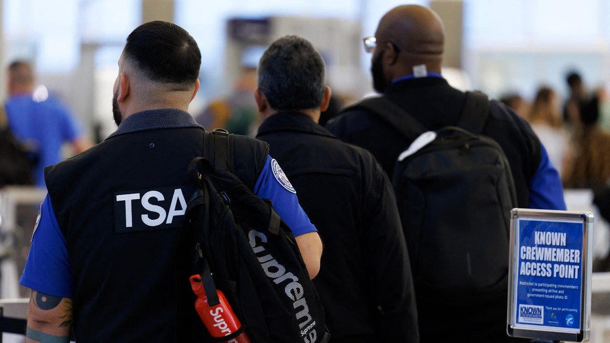 backs of tsa officers