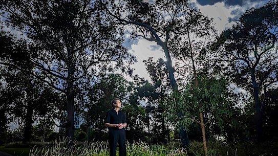 Victoria’s bushfire protocols are operating at peak performance, in part due to the recommendations of Susan Pascoe and others in the Black Saturday Royal Commission.