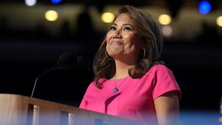 Dem rep’s staffer repeatedly posed as lawyer for detainees, smuggled phone into Texas facility, ICE says Dem rep’s staffer repeatedly posed as lawyer for detainees, smuggled phone into Texas facility, ICE says