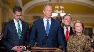 Thune accuses critics of ‘creating false expectations’ amid backlash over stalled SAVE America Act