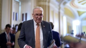 WATCH: Dem senators make the case for the very bill they’re trying to kill