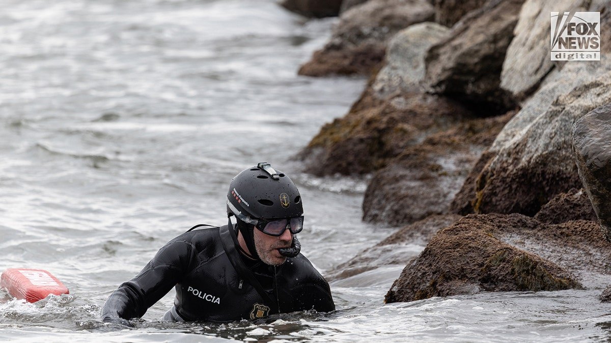A Catalan police diver searching for Alabama student James Gracey in the water near the shoreline and marina.