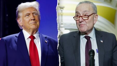 Trump mocks ‘discombobulated’ Schumer over Democrats’ near gaffe on funding ICE Trump mocks ‘discombobulated’ Schumer over Democrats’ near gaffe on funding ICE