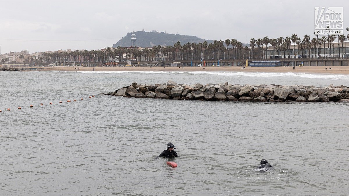 Catalan police divers searching for Alabama student James Gracey in the water near the shoreline and marina.