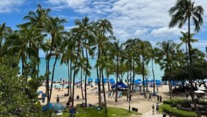 Hotel fees are draining Americans’ wallets as expert reveals how to avoid paying hundreds extra Hotel fees are draining Americans’ wallets as expert reveals how to avoid paying hundreds extra