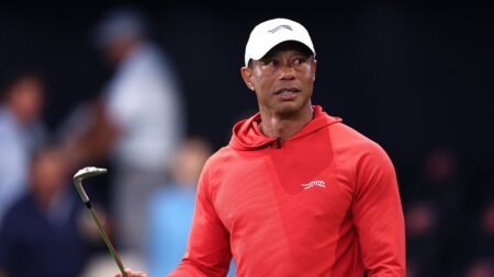Sportscaster Jim Gray says Tiger Woods’ DUI arrest is ‘another cry for help’