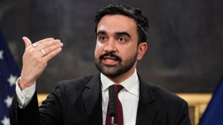 Mamdani endorses planned NYC ‘No Kings’ rally, derides ICE as ‘rogue agency’