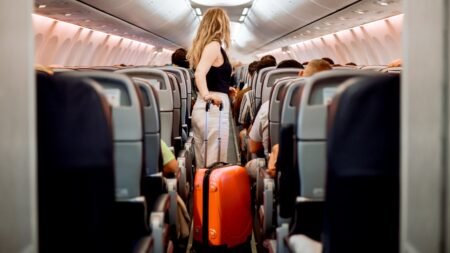 Plane seat location critical in emergencies as experts warn row position impacts survival odds Plane seat location critical in emergencies as experts warn row position impacts survival odds
